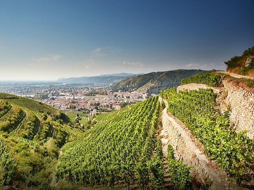 Domaine & Maison Les Alexandrins Wine Dinner at Bread Street Kitchen